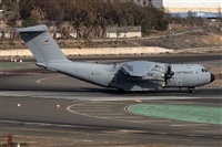 ©Adolfo Bento - Gran Canaria Spotters. Click to see full size photo ©Adolfo Bento - Gran Canaria Spotters. Click to see full size photo