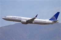 �Miguel A. �gueda Rguez.  (CANARY ISLANDS SPOTTING). Click to see full size photo