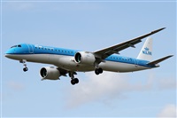 ©Alfonso Solís - Asociación Canary Islands Spotting. Click to see full size photo ©Alfonso Solís - Asociación Canary Islands Spotting. Click to see full size photo