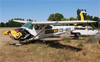 �Javier Gonz�lez. Click to see full size photo