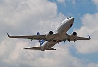 Melvin Pereira - Iberian Spotter. Click to see full size photo