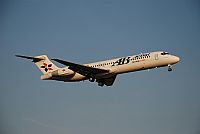 Rubn Gil - Noisy Spotters. Click to see full size photo