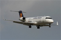 Jos Miguel Bernases - Noisy Spotters. Click to see full size photo