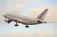 Carlos Moreira  *  PortugalSpotters.org. Click to see full size photo