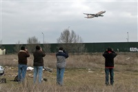 ©La Roche Spotters. Click to see full size photo ©La Roche Spotters. Click to see full size photo