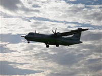 Daniel Vilar - Canary Islands Spotting. Click to see full size photo