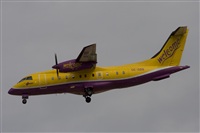Jos Miguel Bernases - Noisy Spotters. Click to see full size photo