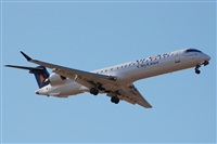 Chalo Canary Islands Spotting. Click to see full size photo