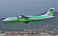 Alejandro Bethencourt (Canary Islands Spotting). Click to see full size photo