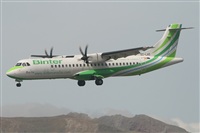 Alfonso Sols - Asociacin Canary Islands Spotting. Click to see full size photo
