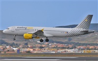 Alejandro Bethencourt (Canary Islands Spotting). Click to see full size photo