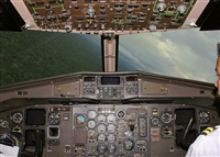 Joo Henrique. Click to see full size photo