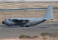 Alejandro H.L - Gran Canaria Spotters. Click to see full size photo