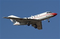 H.volar. Click to see full size photo
