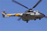 Alfonso Sols - Asociacin Canary Islands Spotting. Click to see full size photo