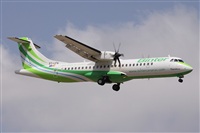 Alfonso Sols - Asociacin Canary Islands Spotting. Haz click para ampliar