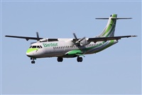©Alfonso Solís - Asociación Canary Islands Spotting. Click to see full size photo ©Alfonso Solís - Asociación Canary Islands Spotting. Click to see full size photo