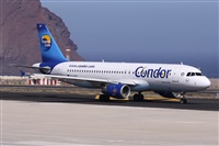 ©Alfonso Solís - Asociación Canary Islands Spotting. Click to see full size photo ©Alfonso Solís - Asociación Canary Islands Spotting. Click to see full size photo