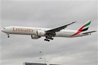 Rodrigo Carvalho - Noisy Spotters. Click to see full size photo