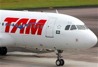 Fabio Duarte - Manaus Spotting Team. Click to see full size photo