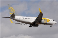 Alfonso Sols - Asociacin Canary Islands Spotting. Click to see full size photo