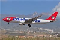 Miguel A. gueda Rguez.  (CANARY ISLANDS SPOTTING). Click to see full size photo