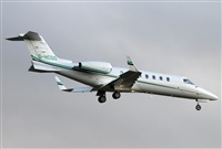 Jos Miguel Bernases - Noisy Spotters. Click to see full size photo