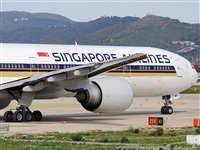 Rubn Gil - Noisy Spotters. Click to see full size photo