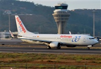 Alejandro Bethencourt (Canary Islands Spotting). Click to see full size photo