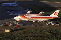 Rui Alves - Madeira Spotters. Click to see full size photo