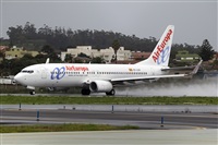 Javier de la Cruz - CANARY ISLANDS SPOTTING. Click to see full size photo