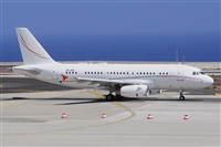 Miguel A. gueda Rguez.  (CANARY ISLANDS SPOTTING). Click to see full size photo