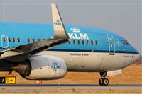 Rubn Gil - Noisy Spotters. Click to see full size photo