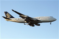Miguel Alia - Noisy Spotters. Click to see full size photo