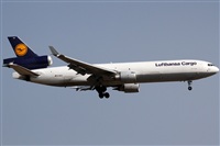 Rubn Gil - Noisy Spotters. Click to see full size photo