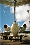©Sergio Vázquez - Coruña Spotters. Click to see full size photo ©Sergio Vázquez - Coruña Spotters. Click to see full size photo