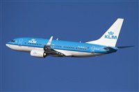 Miguel Alia - Noisy Spotters. Click to see full size photo