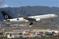 ©Adolfo Bento - Gran Canaria Spotters. Click to see full size photo ©Adolfo Bento - Gran Canaria Spotters. Click to see full size photo