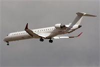 ©Adolfo Bento - Gran Canaria Spotters. Click to see full size photo ©Adolfo Bento - Gran Canaria Spotters. Click to see full size photo