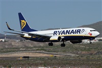 ©Alfonso Solís - Asociación Canary Islands Spotting. Click to see full size photo ©Alfonso Solís - Asociación Canary Islands Spotting. Click to see full size photo