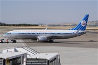 Miguel A. gueda Rguez.  (CANARY ISLANDS SPOTTING). Click to see full size photo