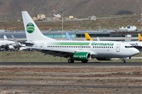 ©Alfonso Solís - Asociación Canary Islands Spotting. Click to see full size photo ©Alfonso Solís - Asociación Canary Islands Spotting. Click to see full size photo