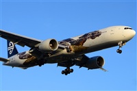 Ana L@dy Spotter. Haz click para ampliar