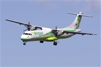 Saimon J Rodriguez   -   Canary Islands Spotting. Click to see full size photo