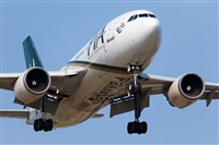 Miguel Alia - Noisy Spotters. Click to see full size photo