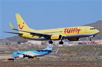 Miguel A. gueda Rguez.  (CANARY ISLANDS SPOTTING). Click to see full size photo