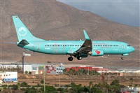 ©Adolfo Bento - Gran Canaria Spotters. Click to see full size photo ©Adolfo Bento - Gran Canaria Spotters. Click to see full size photo