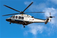 Bartolom Fernndez - Gran Canaria Spotters. Click to see full size photo