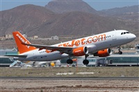 ©Alfonso Solís - Asociación Canary Islands Spotting. Click to see full size photo ©Alfonso Solís - Asociación Canary Islands Spotting. Click to see full size photo