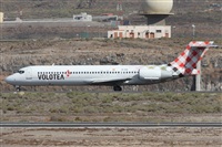 ©Alfonso Solís - Asociación Canary Islands Spotting. Click to see full size photo ©Alfonso Solís - Asociación Canary Islands Spotting. Click to see full size photo